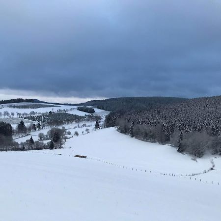 Appartement Familie Willems Winterberg 3 Екстериор снимка