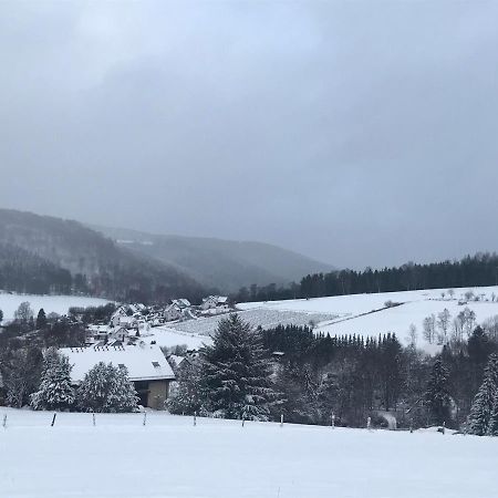 Appartement Familie Willems Winterberg 3 Екстериор снимка