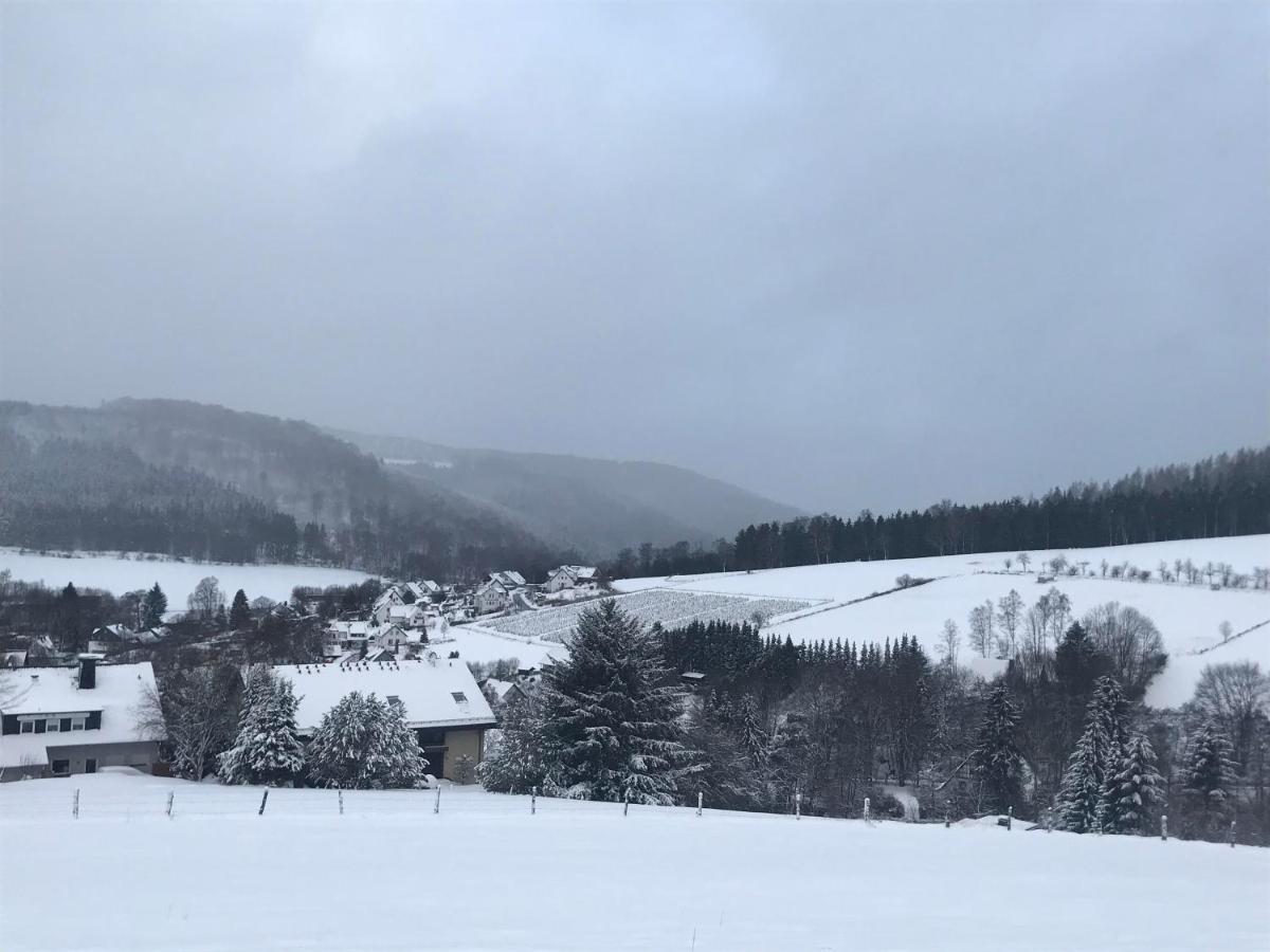 Appartement Familie Willems Winterberg 3 Екстериор снимка