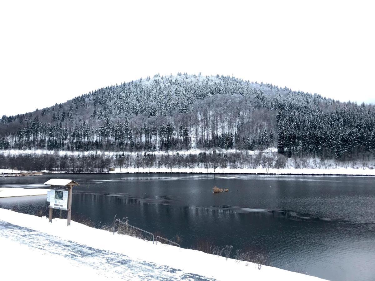 Appartement Familie Willems Winterberg 3 Екстериор снимка