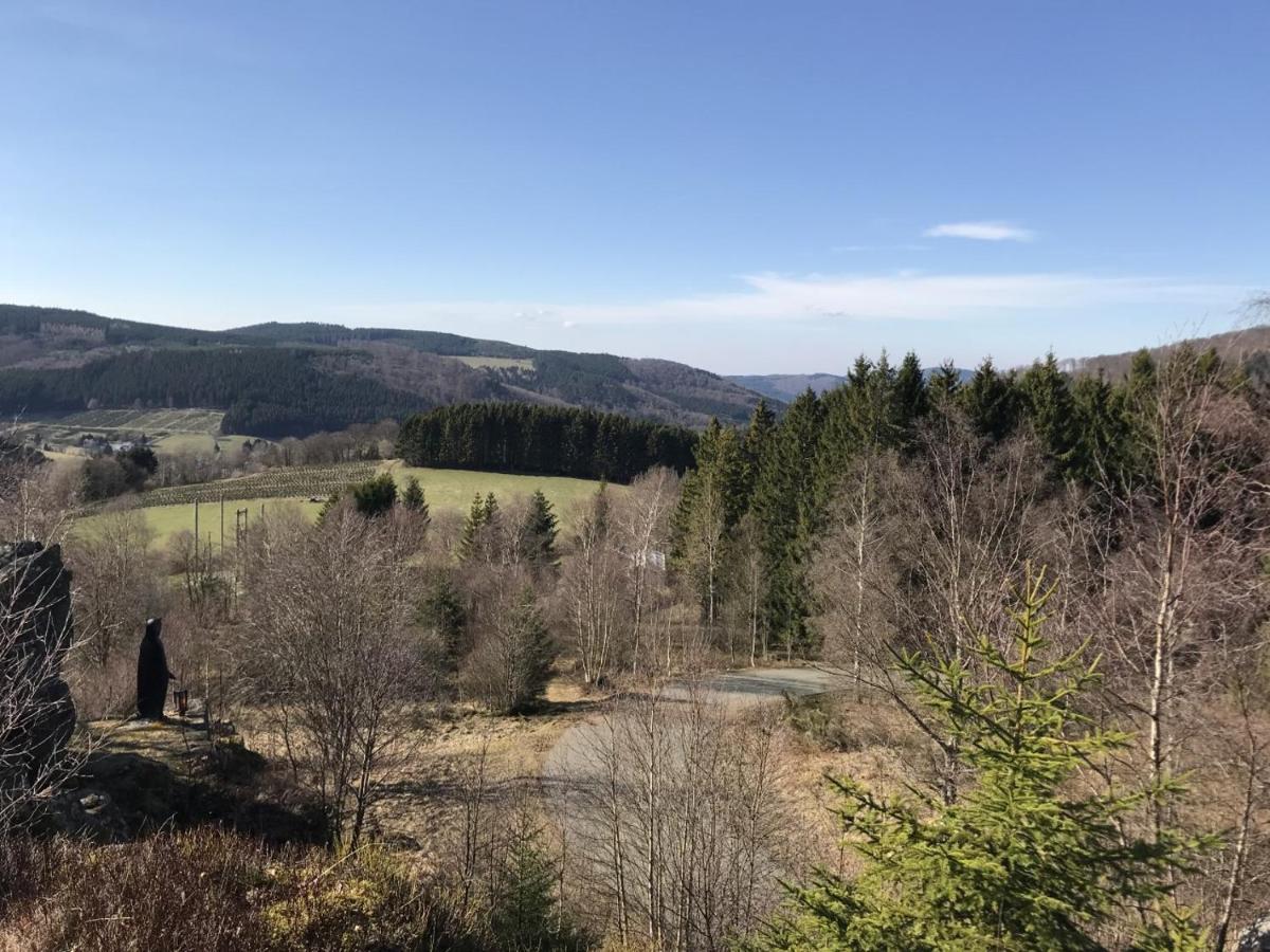 Appartement Familie Willems Winterberg 3 Екстериор снимка
