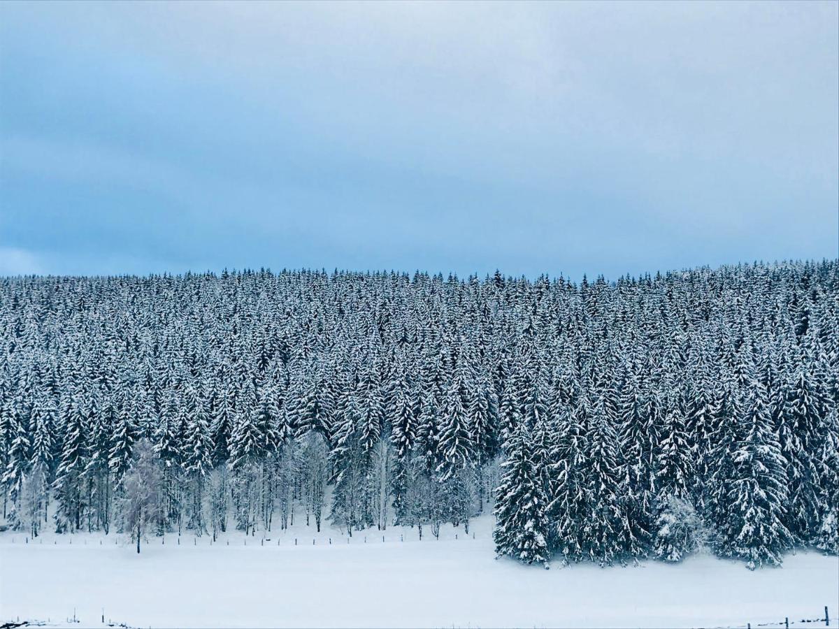 Appartement Familie Willems Winterberg 3 Екстериор снимка